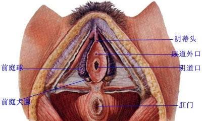 三世姻缘数字6（生日配对测姻缘）