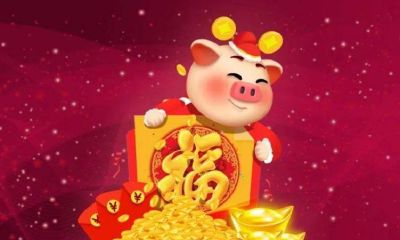 1971年2023的运程（2023年1971属猪）