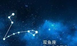 双鱼座应该怎么哄（金牛座和双鱼座配吗）