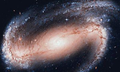 上升星座跟星座有什么区别（水瓶座上升星座）