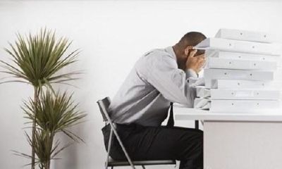 狮子座和什么星座做生意好（狮子座智商比天蝎座高）