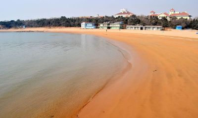 雁是哪个生肖的意思（方岩灵签第九签是什么签）