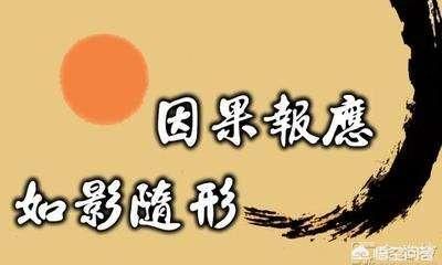 你为什么相信因果轮回（我相信因果轮回）