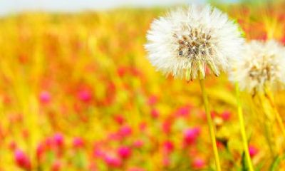 大运交替前的变化（交好大运前会怎么样）