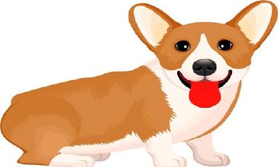 属狗男孩配什么属相合适（属狗的男生与什么生肖最配）