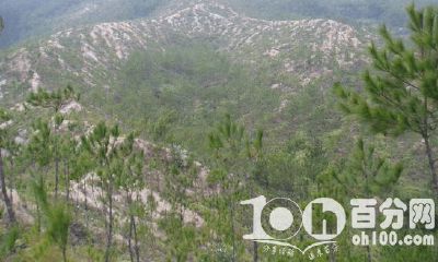 墓地最好的风水朝向图一百例（平原墓地风水图解知识大全）