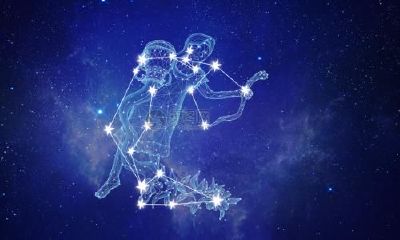 星座解析水瓶女（哪个星座最迷恋水瓶女）