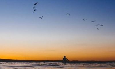 决定人生的不是命运而是选择（人的脾气决定一生命运）