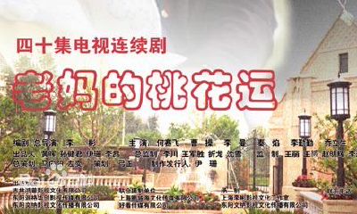 老妈的桃花运吃饭吵架（老妈的桃花运养子）