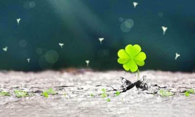 运气很差的人怎么转运（一个人运气不好要怎样转运）