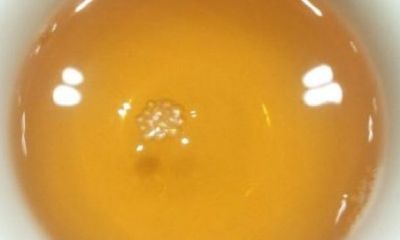 茶馆怎么起名（茶馆起名有哪些）