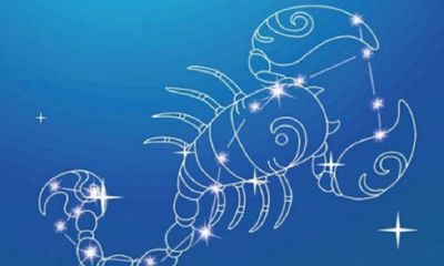 天蝎座女生不会主动找你么（天蝎女为啥不主动联系你）