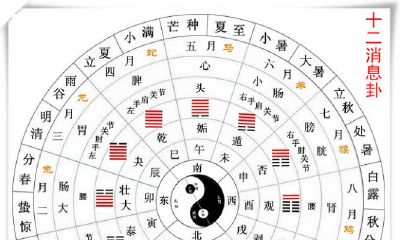 数字命理学神秘主义（命格数字怎么算出来）