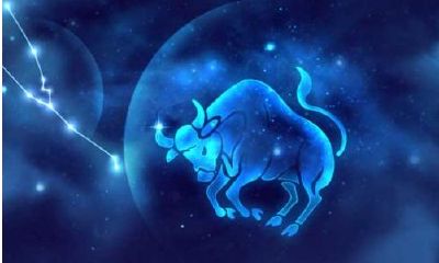 金牛属于什么属相（金牛座属什么生肖最成功）