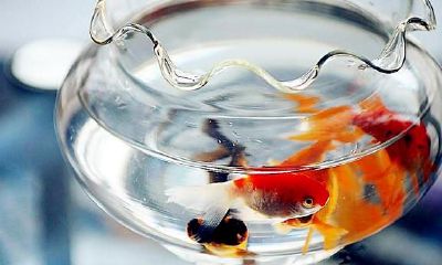 什么东西让男朋友招财（什么物品招财最好）