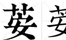 洝字取名的寓意男孩（嘉字取名男孩）