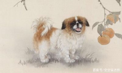 十二生肖贵人属相大全表（人的十二属相表）