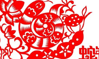 77年属蛇女今年桃花（77年属蛇的女人命好吗）