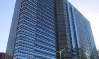 起名免费网公司名称打分（起名字大全免费）