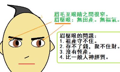 女人眉毛散乱的人面相（拱形眉的女人面相）