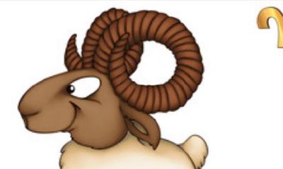 白羊座是几月几号的生日（水瓶座是几月几号出生的）