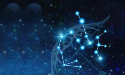 射手职业的古风名字（12星座霸气古风名字）