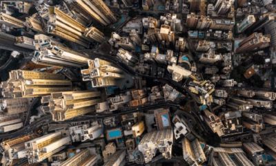 属鸡人2023年适合买房吗（属鸡的2023年运势和财运怎么样）