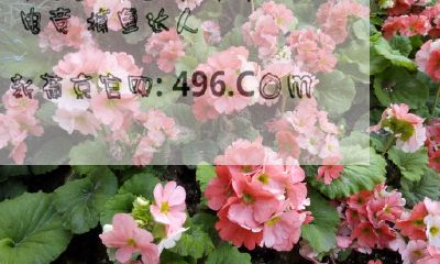 十二属相哪几个是大属相（哪个属相最大）