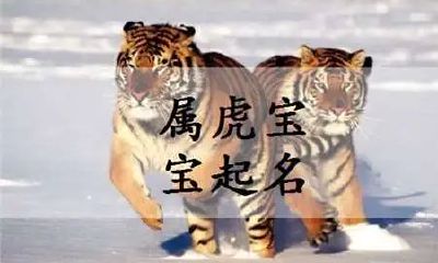 属虎的人取名用什么字好（虎年男孩子取名字大全）