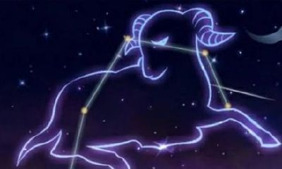 星座运势白羊座本周运势（十二星座运势）