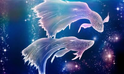 双鱼座男生适合什么样的职业（属牛双鱼座男生性格特点）