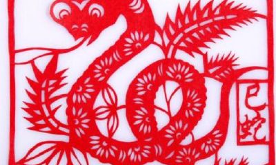 属蛇的多少周岁（2001年属蛇最佳结婚年龄）