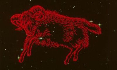 射手座不会挽留吗（射手座被拒绝会放弃吗）