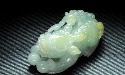 貔貅跟哪个属相最好（什么屏风招财）