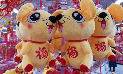 属鼠适合住楼层（属鼠的住10楼好吗）