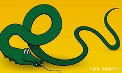 属蛇的女人有什么能力（属蛇女人的性格和脾气）