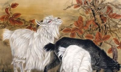 属蛇女心机重还招男人喜欢（生肖蛇女的性格和人品）