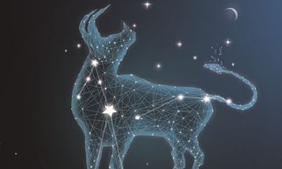 6月份金牛座运势怎么样（水瓶座今日运势）