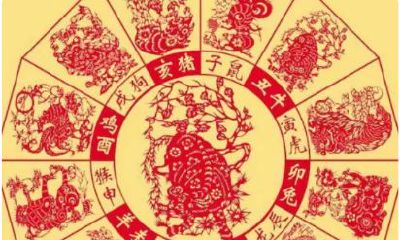 23本命年还是24（本命年指的是23到24）