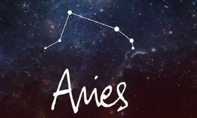 摩羯男生分手后回头几率（摩羯女分手后心理阶段）