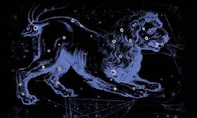 狮子座的特点是什么星座（十二星座狮子座女）