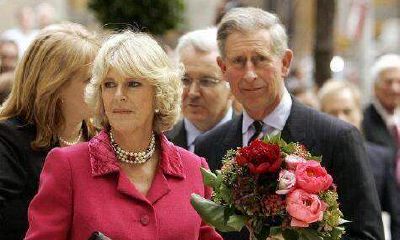 招财又吉利的字母（吉利招财的花）