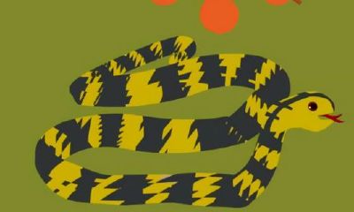 属狗的出生时辰蛇晒日好不好（属狗夜里出生是什么命）