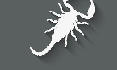 金牛男和天蝎女的配对指数是多少（天蝎和金牛配对指数）