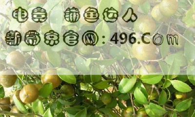 黄大仙43229（78345跟住黄大仙平步青云）