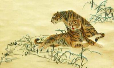 虎生肖配对查询（生肖虎的婚姻配对）