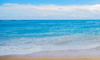 关于双子座的名字（梓字取名的寓意）