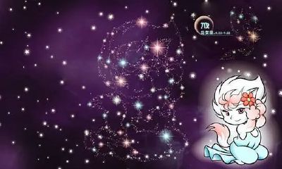 处女座男对喜欢的人会怎么样（狮子与狮子座配对指数）