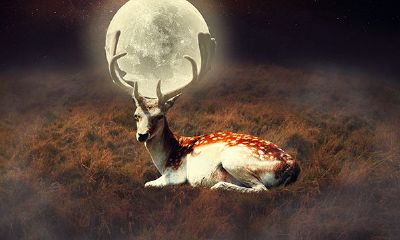 天蝎座男和摩蝎座女（天蝎男的真爱是摩羯女）