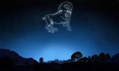 79年属羊女为什么纠缠男人（1979年属羊女人的爱情）